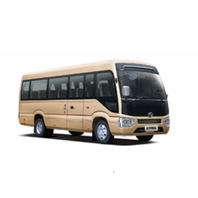 Luxus-Dieselmotor 19 Sitzplätze Minibus Achterbahnbus mit und Steuerung Gewicht von 4100kg