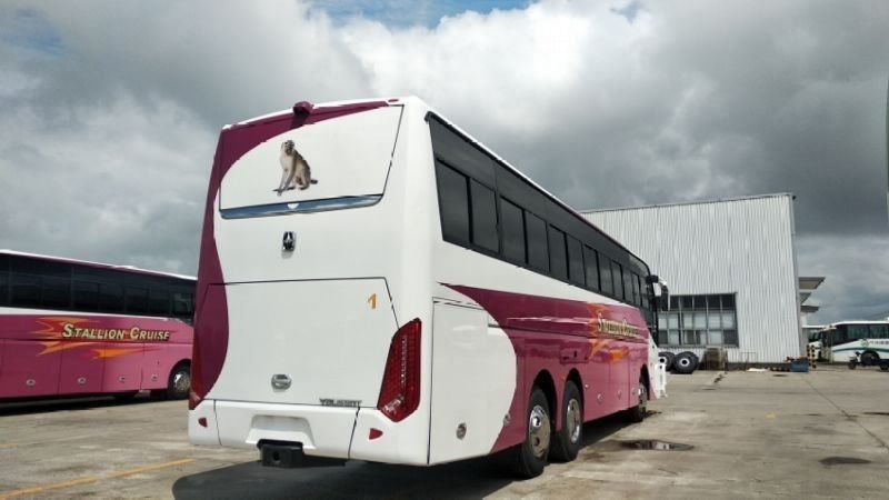 55-Sitzer LHD-Antrieb Luxuswagen für Stadtbusse Beste Wahl