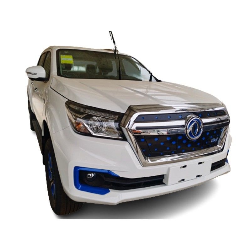 Rücken Trommel Bremsen Elektro Pickup Truck Dongfeng RICH 6 EV 4x2 für Off-Road Abenteuer